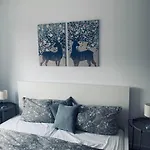 Apartment Mit Penthouse Charakter In Dresden